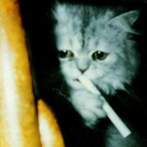 Meet your Posher, Meowzz